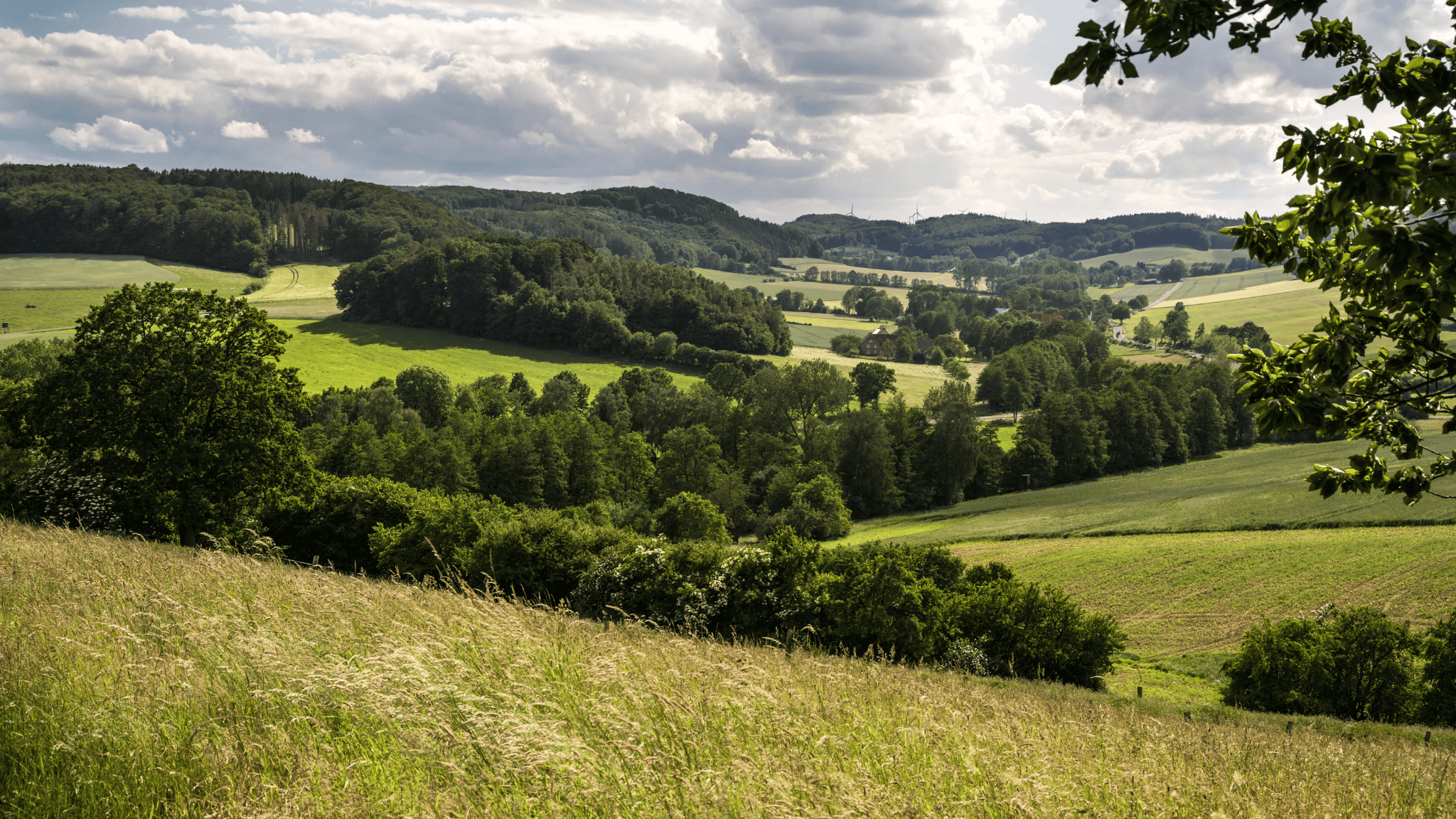 Dörentrup