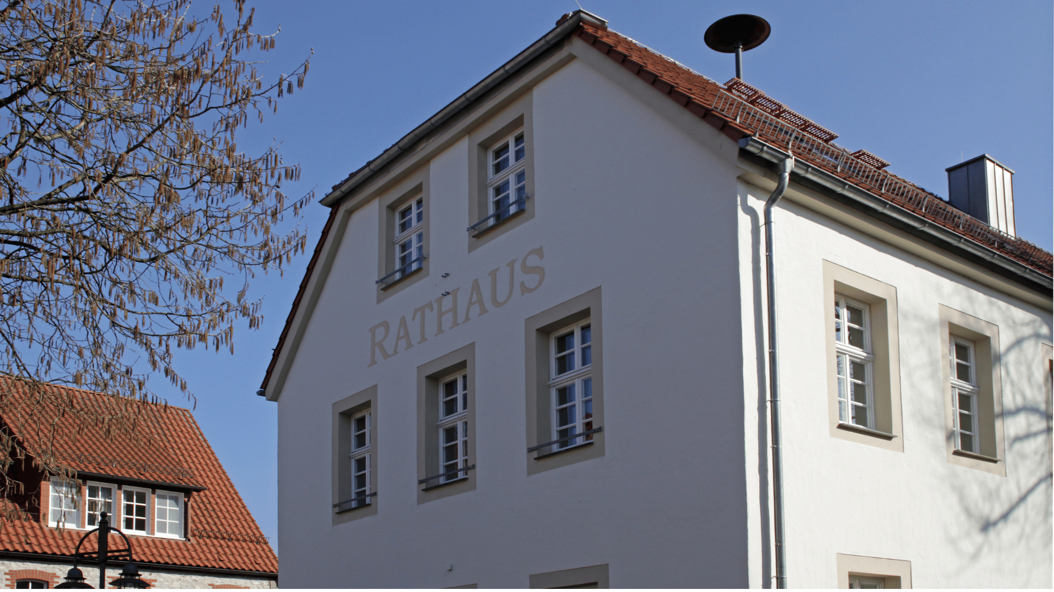 Schlangen