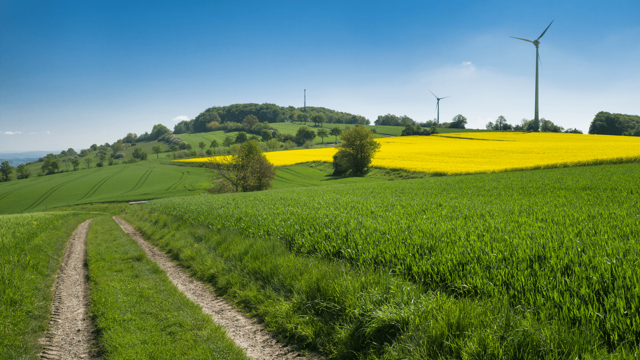 Steinheim